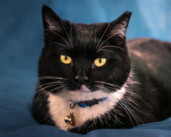 Lámparas de diseño: ilumina tu hogar con estilo