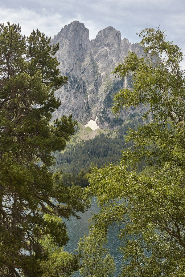 ¿Cuáles son los signos de un gato saludable?